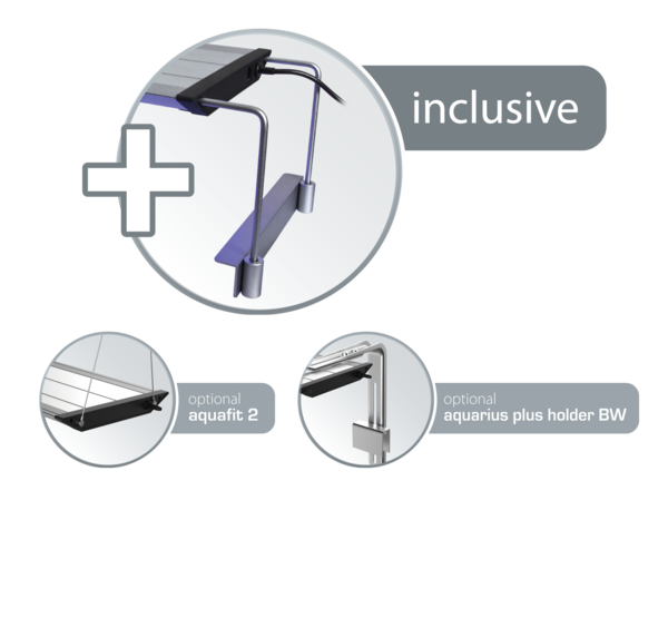 asset_image